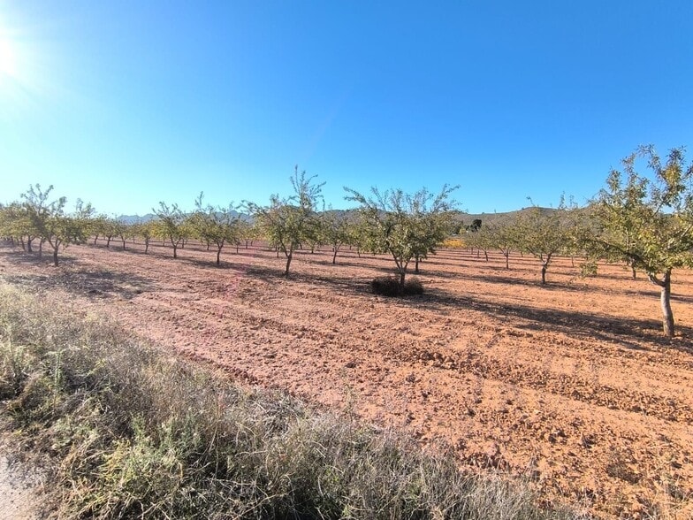 Terreno en MURCIA en venta - Vista aérea - Imagen 3 de 5