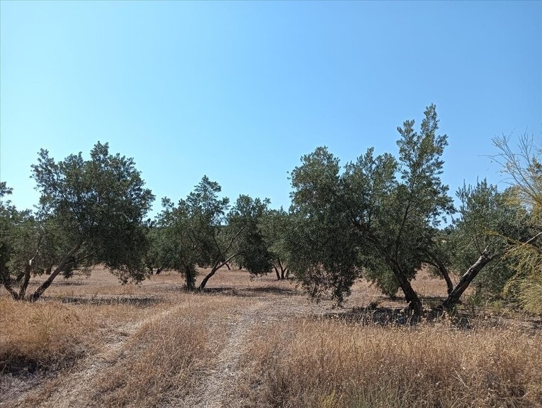 Terreno en Jódar en venta - Foto del edificio - Imagen 3 de 22