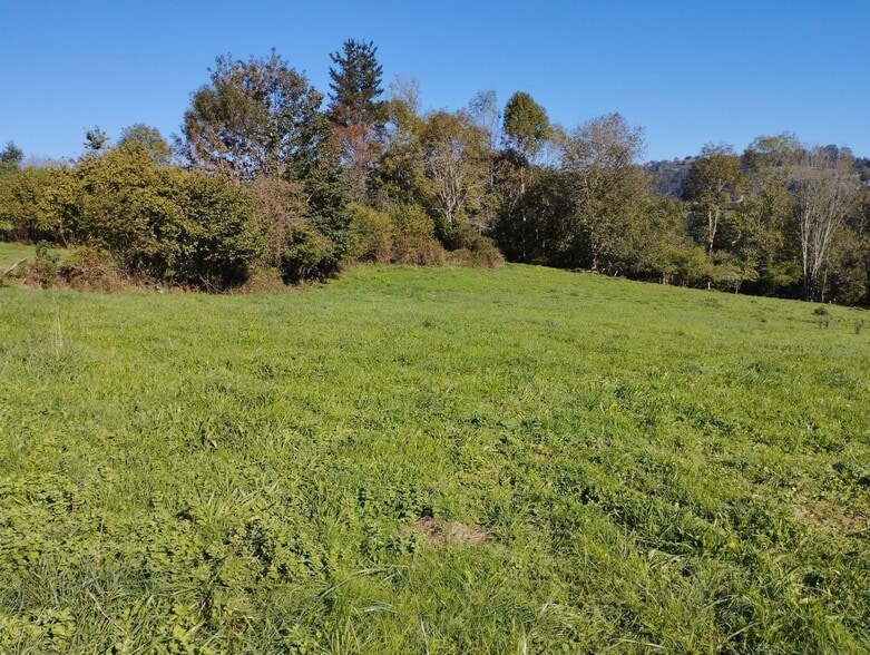 Barrio la Capilla, S/N, Nava, Asturias en venta - Foto del edificio - Imagen 3 de 31