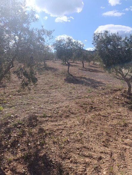 Terreno en Cehegín, Murcia en venta - Vista aérea - Imagen 3 de 13