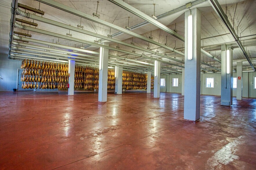 Nave en Ávila, Ávila en venta - Foto del interior - Imagen 2 de 31