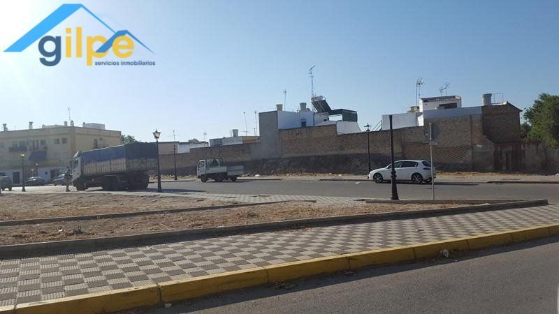 Terreno en Marchena, Sevilla en venta - Foto del edificio - Imagen 2 de 6