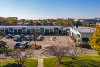 Más detalles para 250 S Gary Ave, Bloomingdale, IL - Local en alquiler