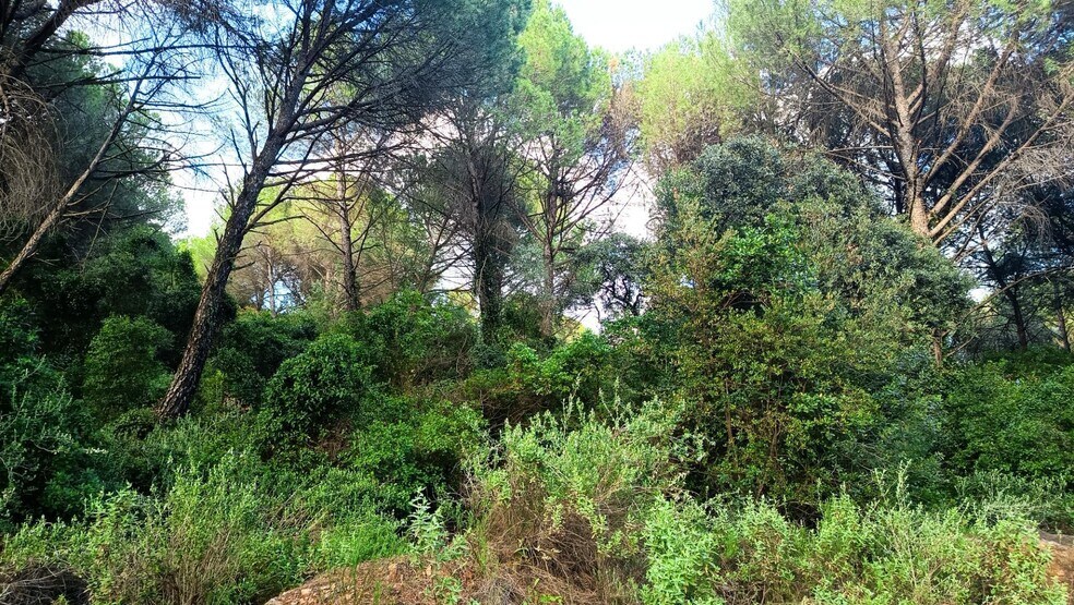 Terreno en Córdoba, Córdoba en venta - Foto principal - Imagen 3 de 6