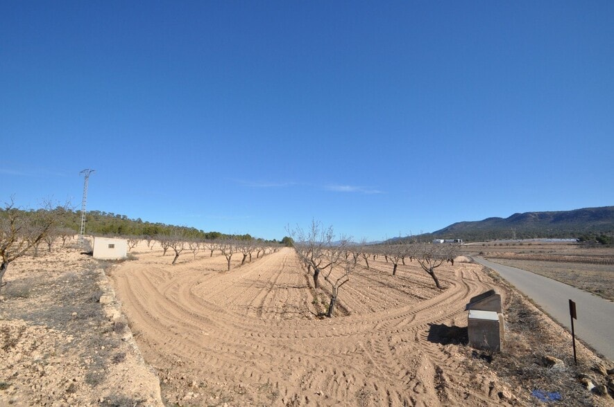 Terreno en MONÒVER, Alicante en venta - Foto principal - Imagen 2 de 9