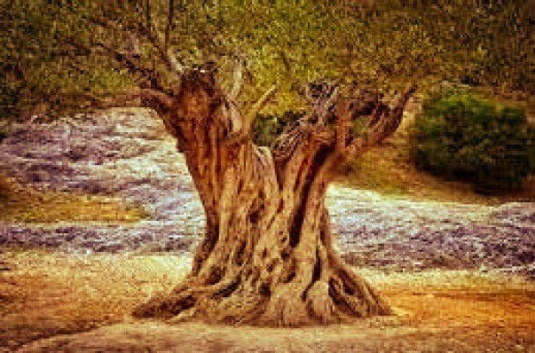 Carrer del Mar, Rossell, Castellón en venta Foto del edificio- Imagen 1 de 2