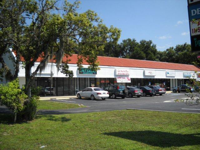 37031-37043 State Road 54, Zephyrhills, FL en alquiler - Foto del edificio - Imagen 2 de 4