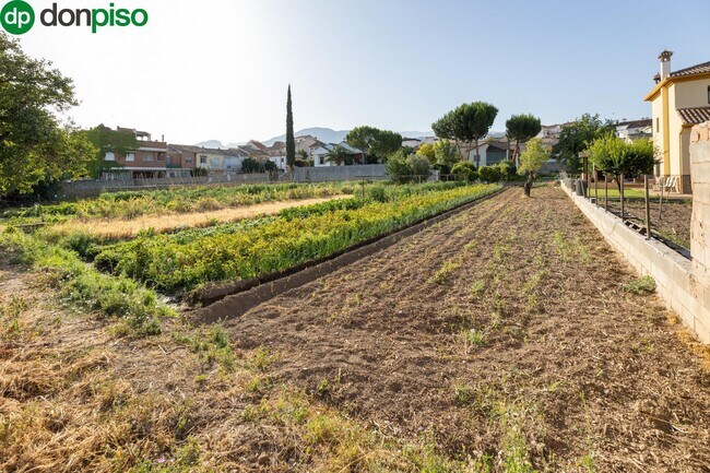 Más detalles de Calle Vicente Aleixandre, 5, La Zubia - Terreno en venta