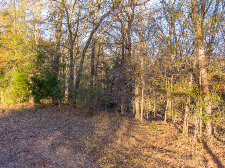 0 Marshall Tucker Rd, Pauline, SC en venta - Otros - Imagen 3 de 22