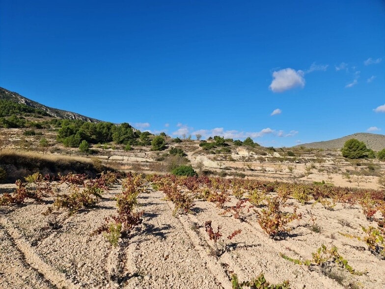 Terreno en La Romana, Alicante en venta - Vista aérea - Imagen 3 de 15