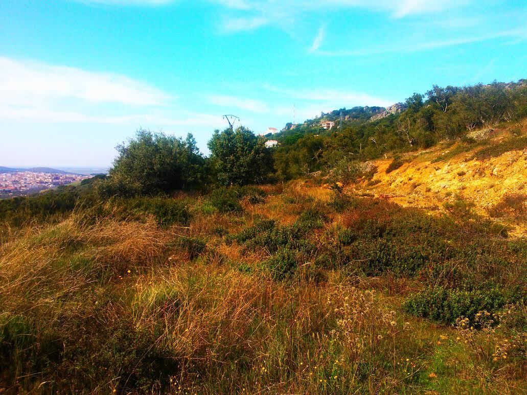 Terreno en Cáceres en venta Foto del edificio- Imagen 1 de 4