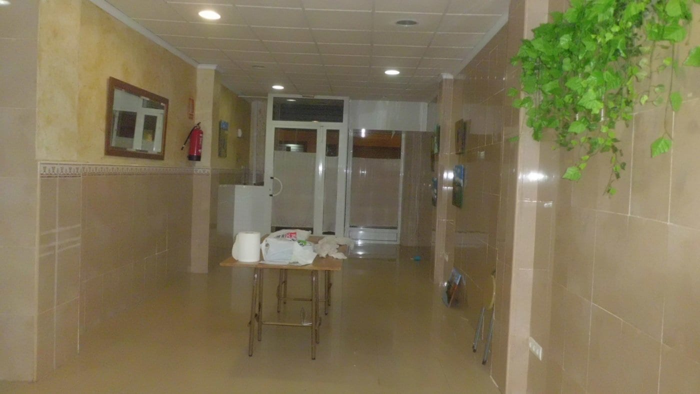 Local en Elche, Alicante en venta Foto del interior- Imagen 1 de 9