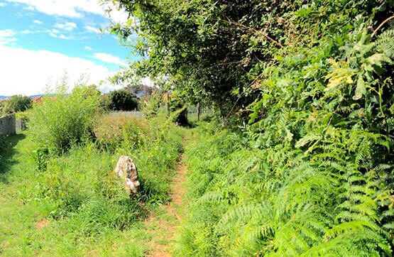 Más detalles de Camiño Pumariños, S/N, Vigo - Terreno en venta