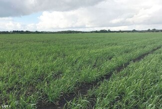 Más detalles de Starham Rd, North Kelsey - Terreno en venta