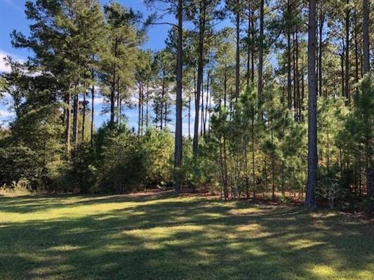 W Lakeshore Dr, Cochran, GA en venta - Otros - Imagen 1 de 14