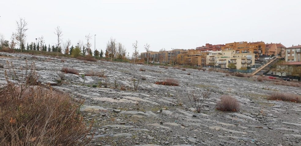 Calle del Fray Bernardino de Sahagún, 12, Salamanca, Salamanca en venta - Foto principal - Imagen 1 de 11