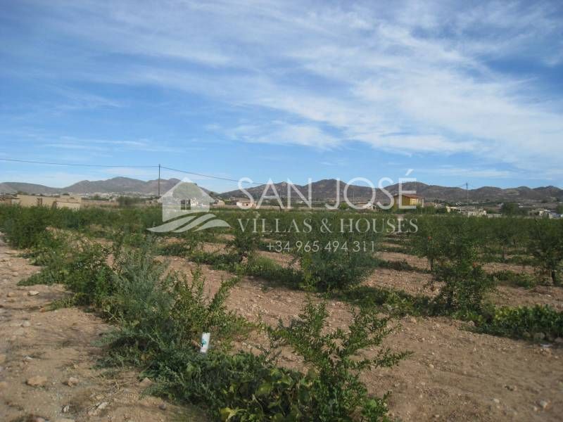 Terreno en Aspe, Alicante en venta Plano del sitio- Imagen 1 de 4