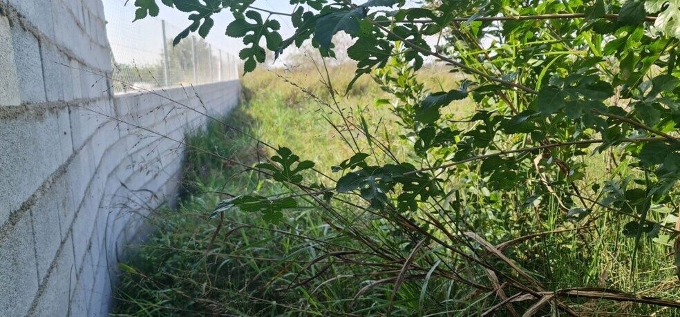 Terreno en Molina de Segura, Murcia en venta - Foto del edificio - Imagen 3 de 4