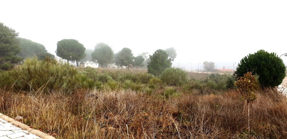 Terreno en Boecillo, Valladolid en venta - Foto del edificio - Imagen 3 de 20