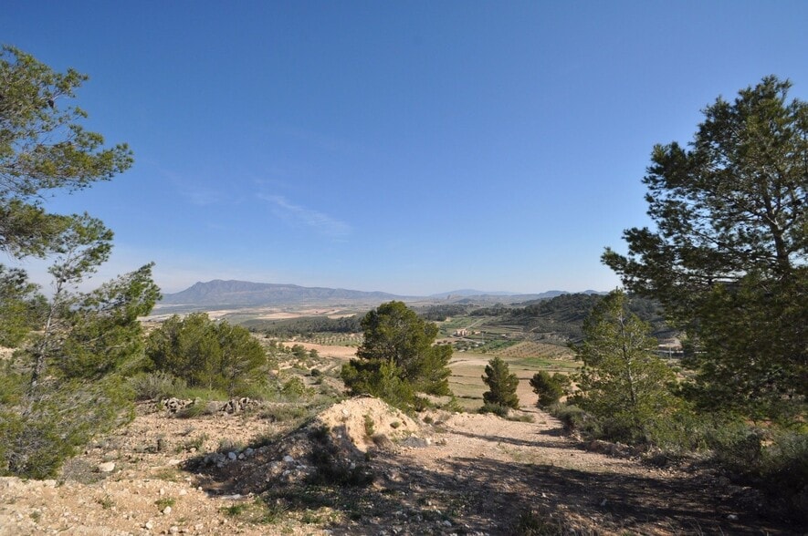 Terreno en Jumilla, Murcia en venta - Vista aérea - Imagen 2 de 9
