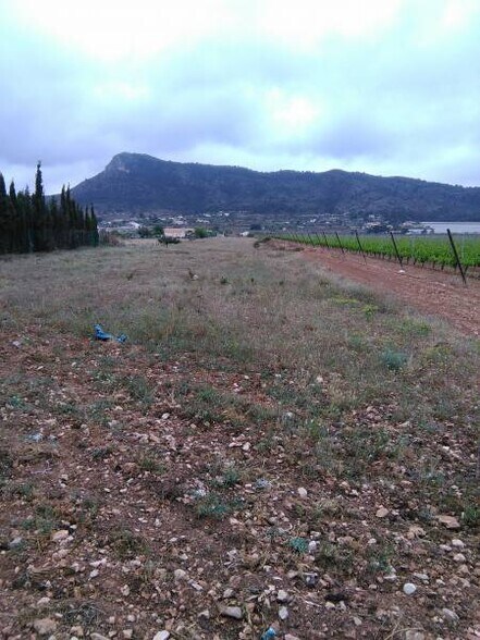Terreno en Aspe, Alicante en venta - Vista aérea - Imagen 2 de 2