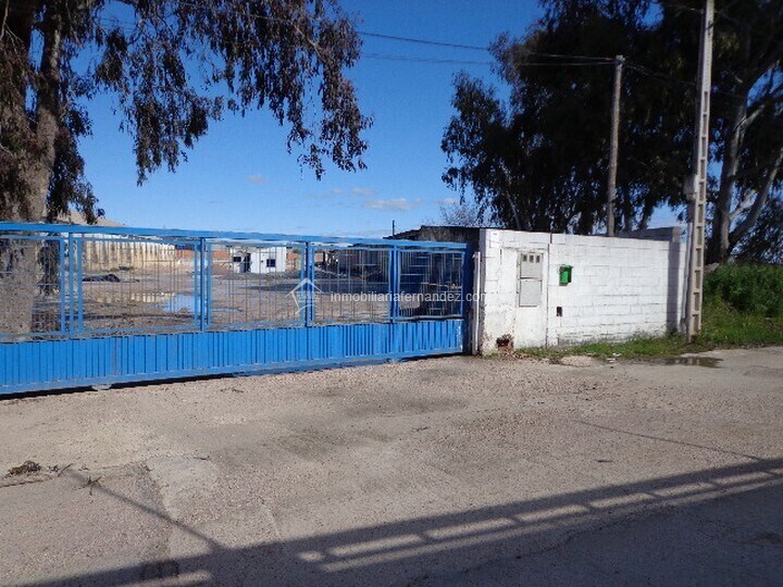 Terreno en Cáceres, Cáceres en alquiler - Foto principal - Imagen 2 de 6