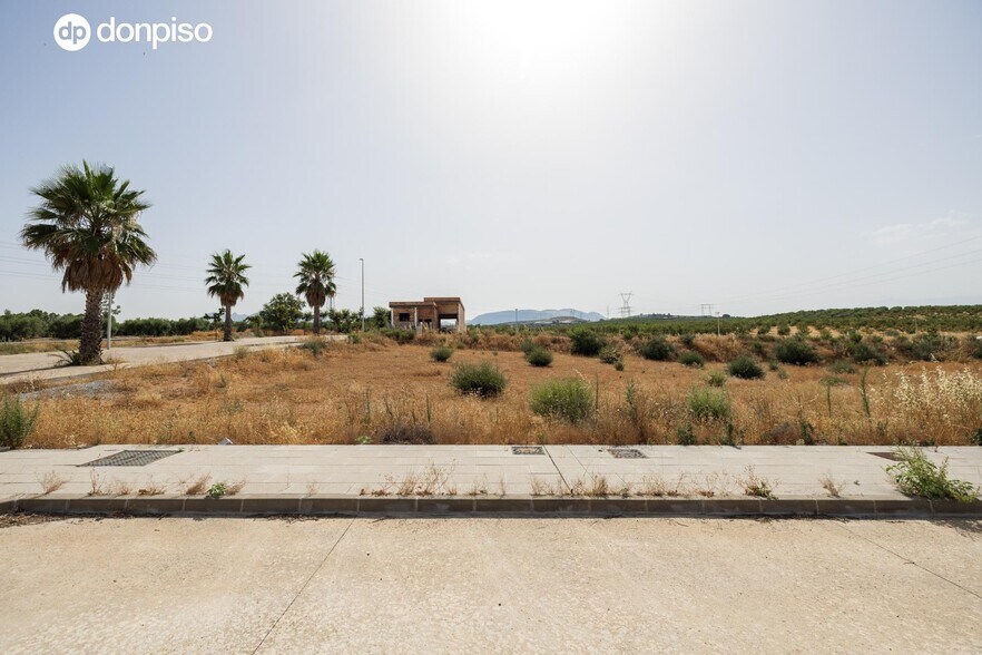 Terreno en Albolote en venta - Foto del edificio - Imagen 3 de 5