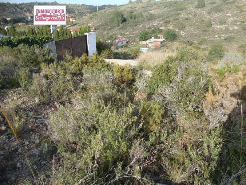Terreno en Catadau, Valencia en venta Plano del sitio- Imagen 1 de 3