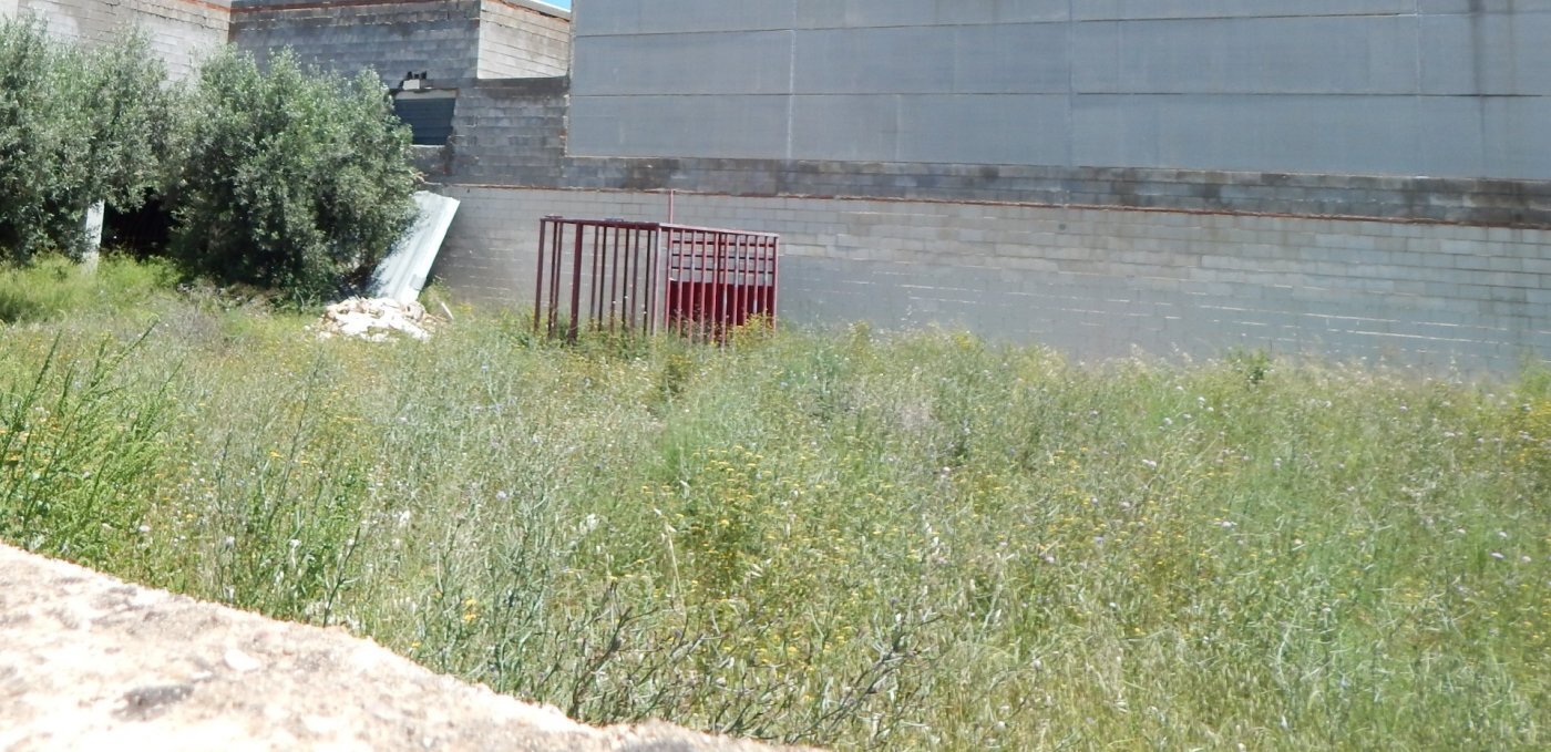 Terreno en València, Valencia en venta Foto principal- Imagen 1 de 3