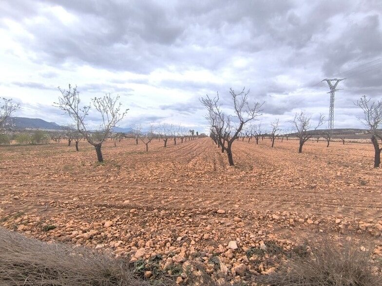 Terreno en Yecla en venta - Foto del edificio - Imagen 2 de 3