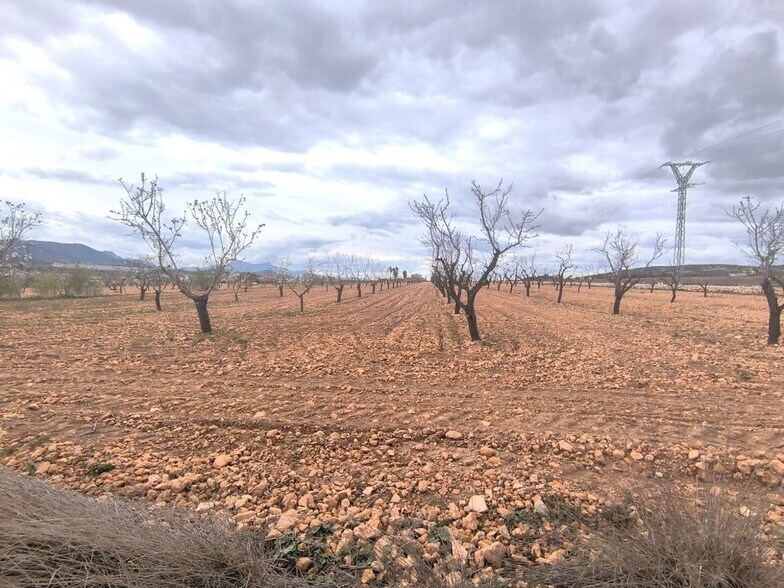 Terreno en Yecla, Murcia en venta - Foto del edificio - Imagen 2 de 3