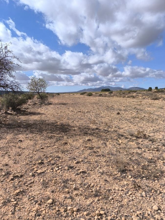 Sin Calle, PINOSO, Alicante en venta Plano del sitio- Imagen 1 de 11