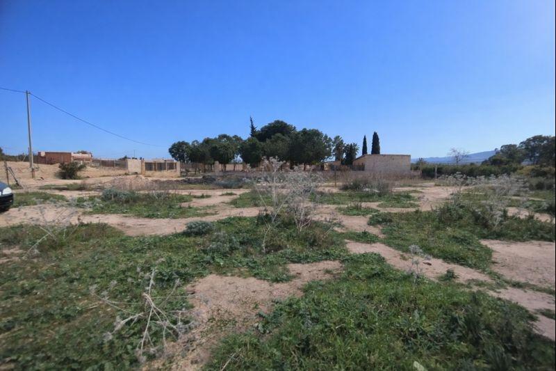 Paraje, 831, Librilla, Murcia en venta - Plano del sitio - Imagen 1 de 16