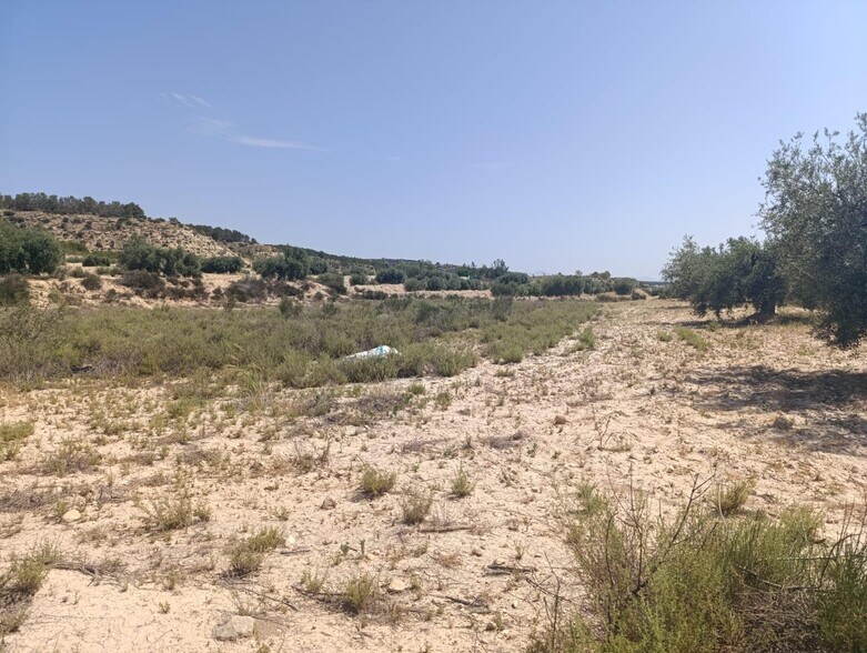 Terreno en Albudeite, Murcia en venta - Plano del sitio - Imagen 2 de 3