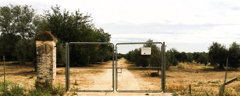 Polígono Ue, 11 Parcela 69, Villamanrique de la Condesa, Sevilla en venta - Foto del edificio - Imagen 3 de 37