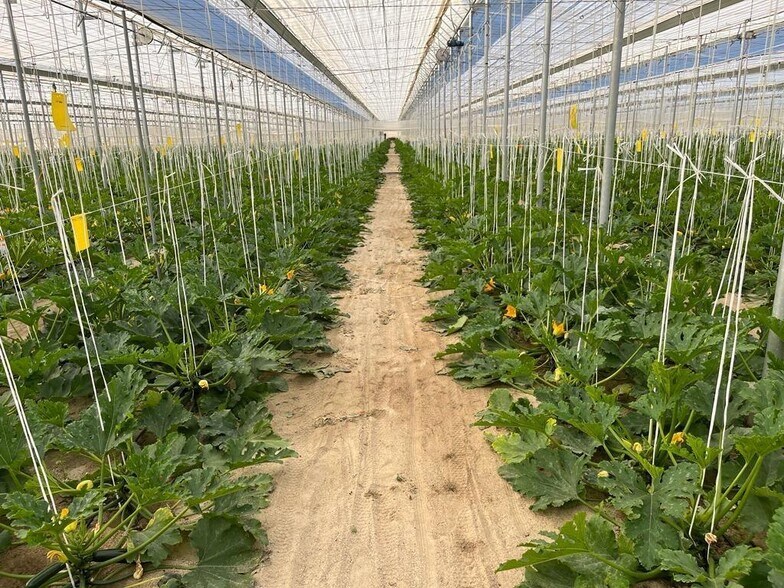 Terreno en Níjar, Almería en venta - Foto del edificio - Imagen 1 de 30