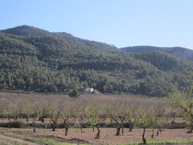 Terreno en Villena en venta - Foto del edificio - Imagen 2 de 8