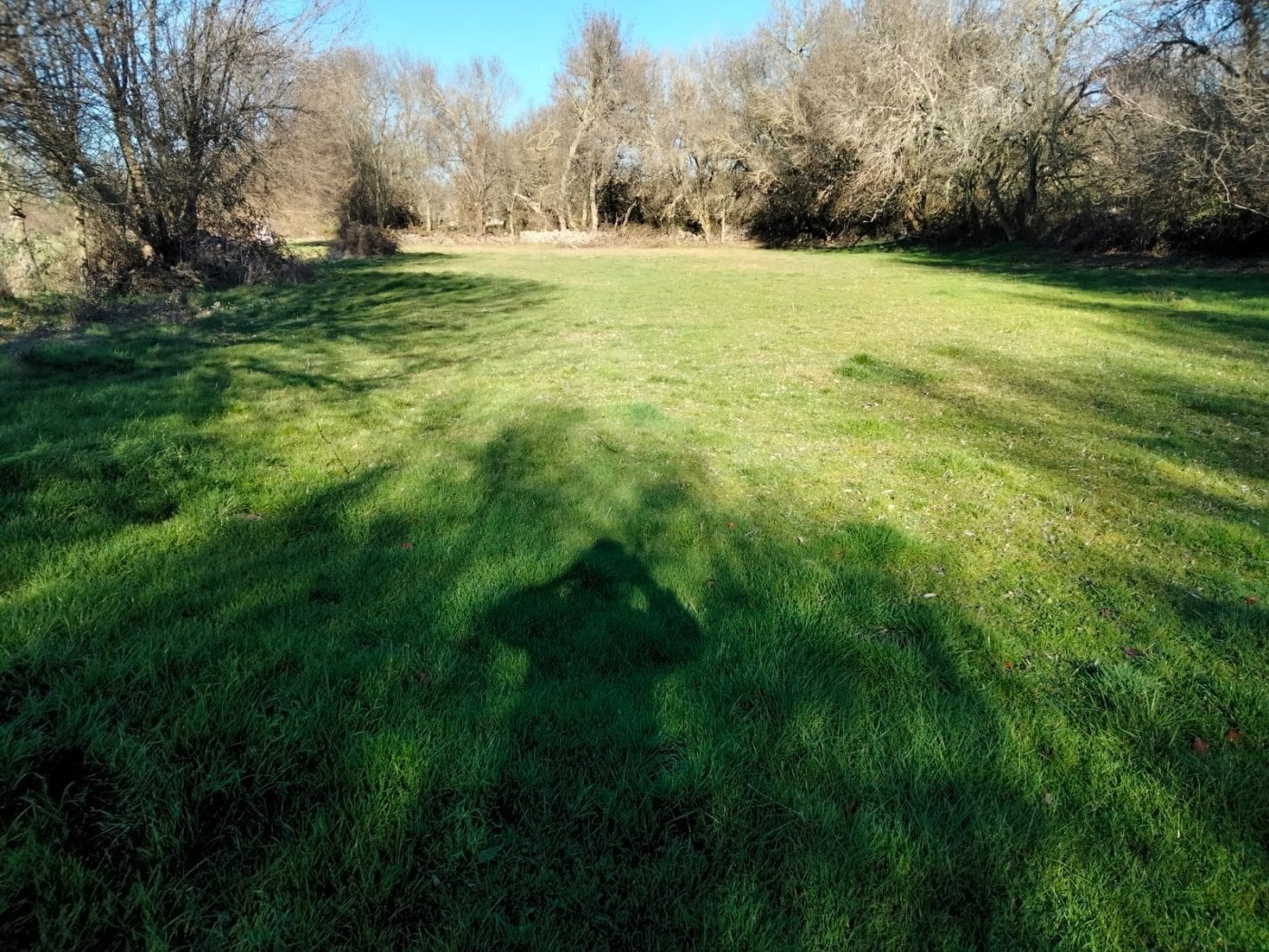 Terreno en Encina de San Silvestre, Salamanca en alquiler Foto principal- Imagen 1 de 6