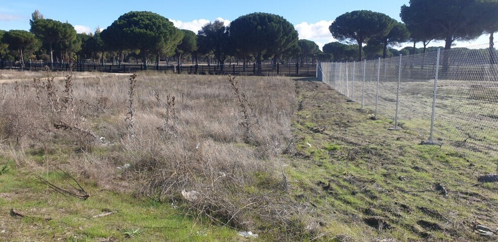 Terreno en Aldeamayor de San Martín, Valladolid en venta - Foto principal - Imagen 2 de 25