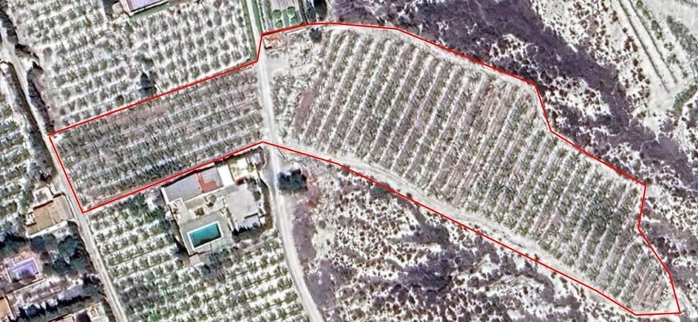 Terreno en Cieza, Murcia en venta - Plano de la planta - Imagen 1 de 7