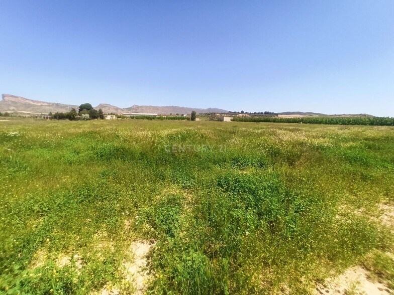 Vereda, 246, Jumilla, Murcia en venta - Foto principal - Imagen 1 de 11