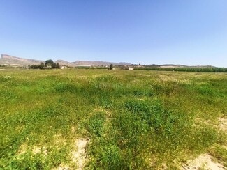 Más detalles de Vereda, 246, Jumilla - Terreno en venta