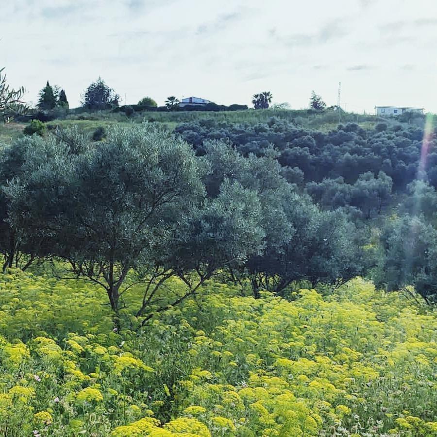 Lugar Polígono 32, 30, Cártama, Málaga en venta Vista aérea- Imagen 1 de 13