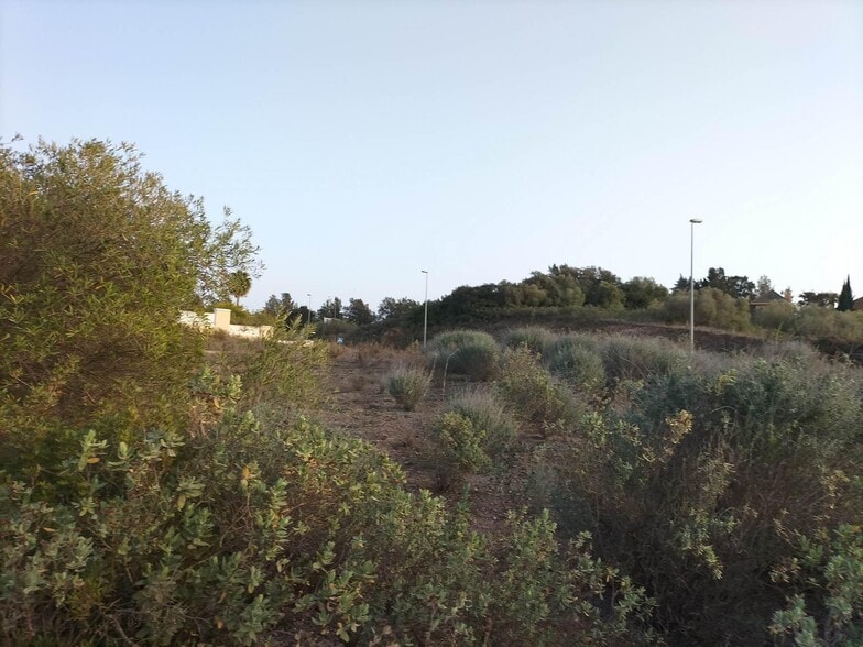 Terreno en Jerez de la Frontera, Cádiz en alquiler - Foto del edificio - Imagen 3 de 8