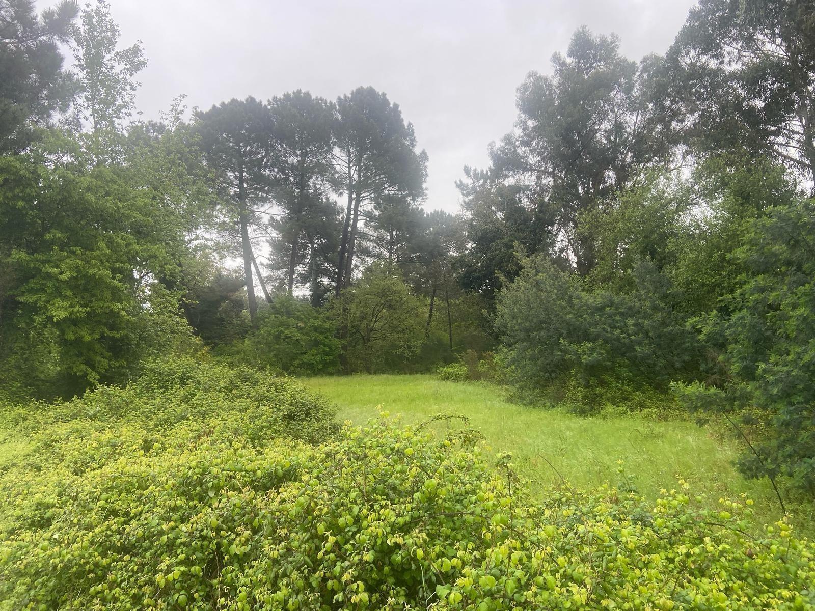 Rúa Marcial Valladares, 11A, Ourense, Orense en venta Foto del edificio- Imagen 1 de 8