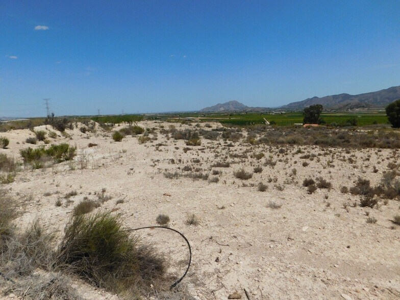 Terreno en Fortuna en venta - Foto del edificio - Imagen 2 de 11