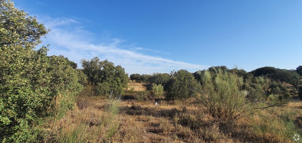 Terrenos en Hormigos, Toledo en venta - Foto del edificio - Imagen 3 de 18