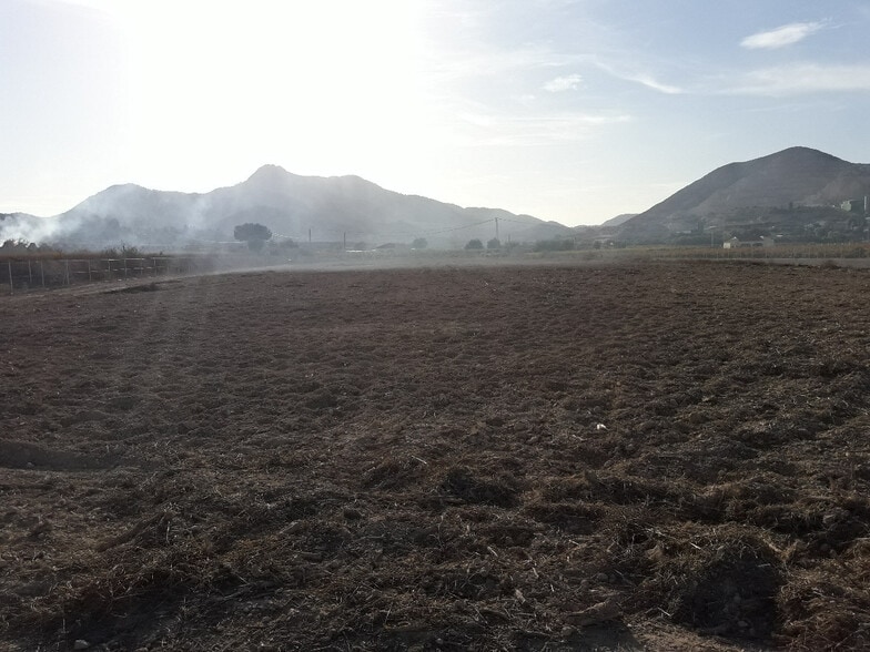 Terreno en Aspe, Alicante en venta - Foto principal - Imagen 1 de 4