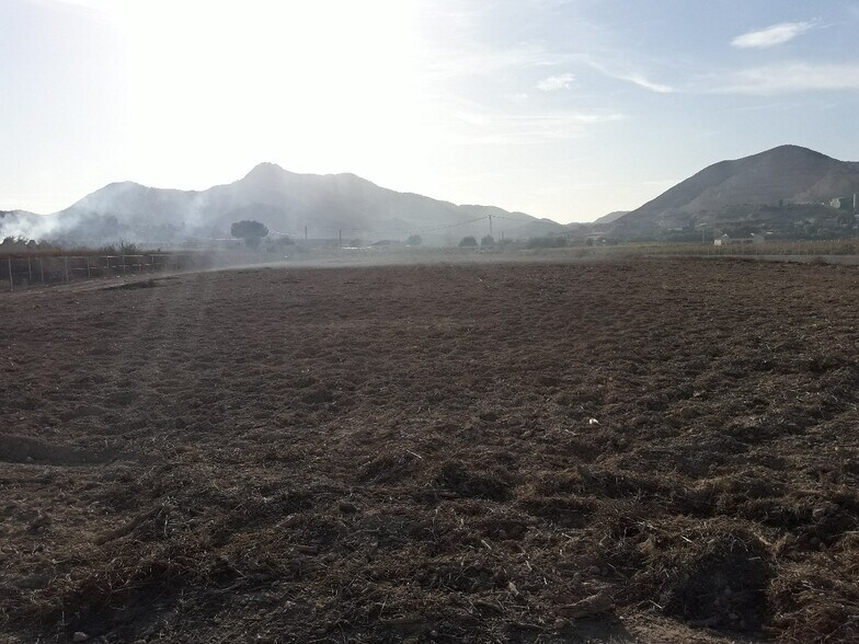 Terreno en Aspe en venta - Foto del edificio - Imagen 3 de 4