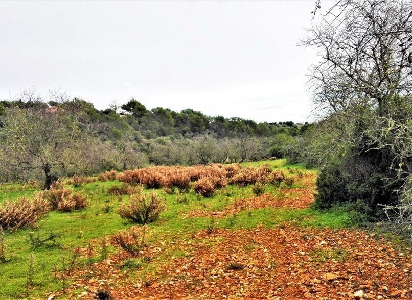 Terreno en Santanyí, Islas Baleares en venta - Foto principal - Imagen 2 de 7